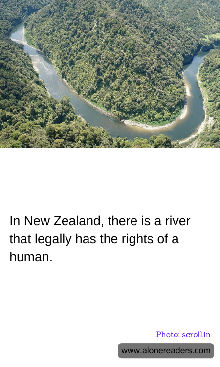 General Knowledge Learning Cards