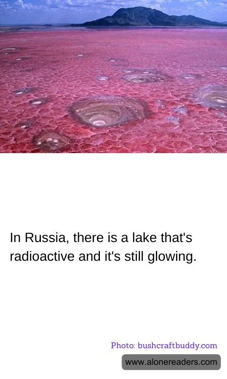 General Knowledge Learning Cards