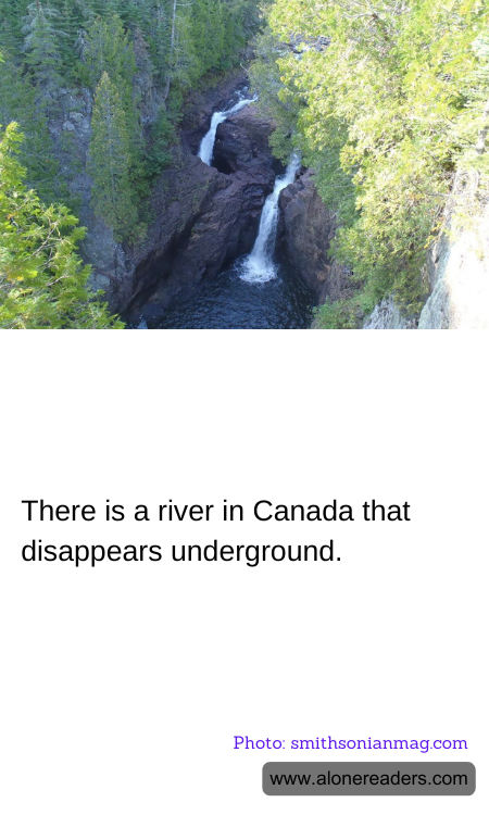 General Knowledge Learning Cards