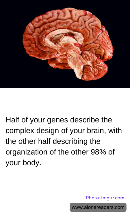 General Knowledge Learning Cards