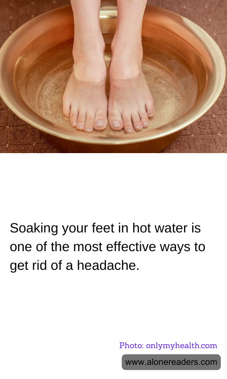 General Knowledge Learning Cards