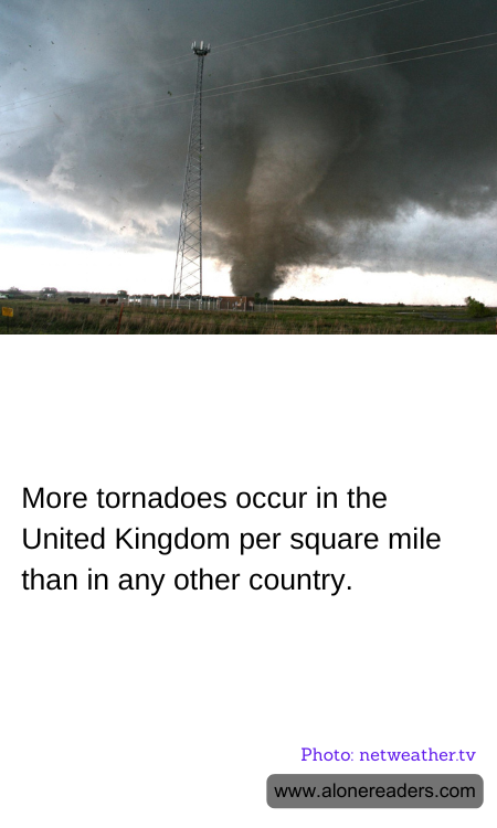 General Knowledge Learning Cards