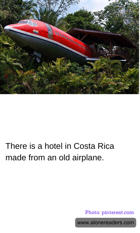 General Knowledge Learning Cards