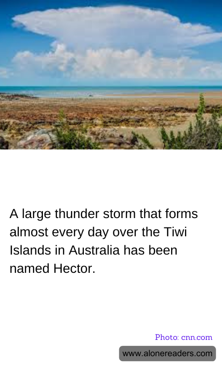 General Knowledge Learning Cards