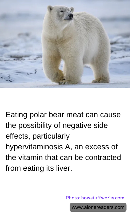 General Knowledge Learning Cards