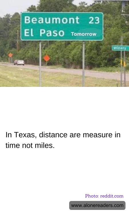 General Knowledge Learning Cards