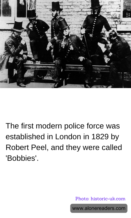 General Knowledge Learning Cards