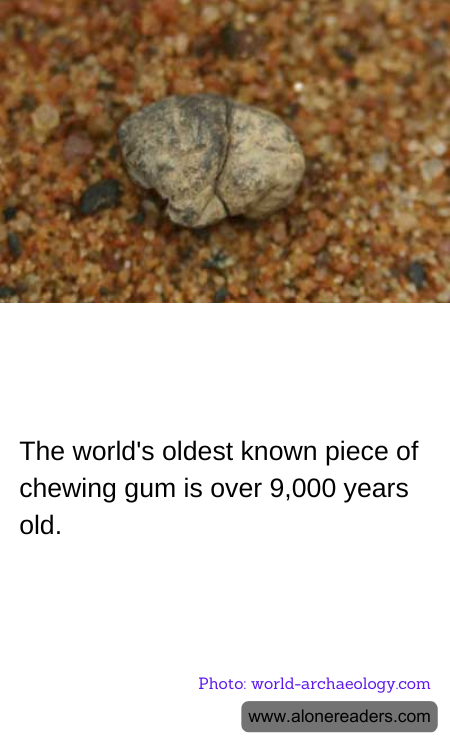 General Knowledge Learning Cards