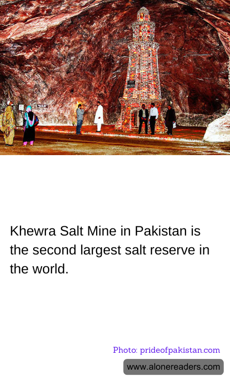 General Knowledge Learning Cards