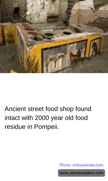 General Knowledge Learning Cards