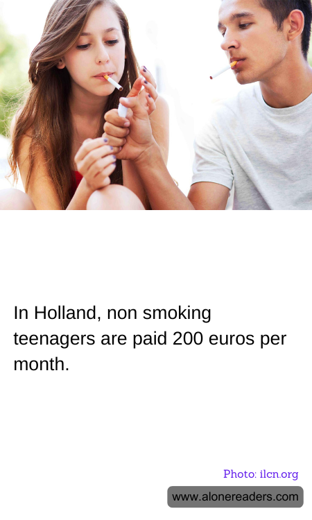 General Knowledge Learning Cards