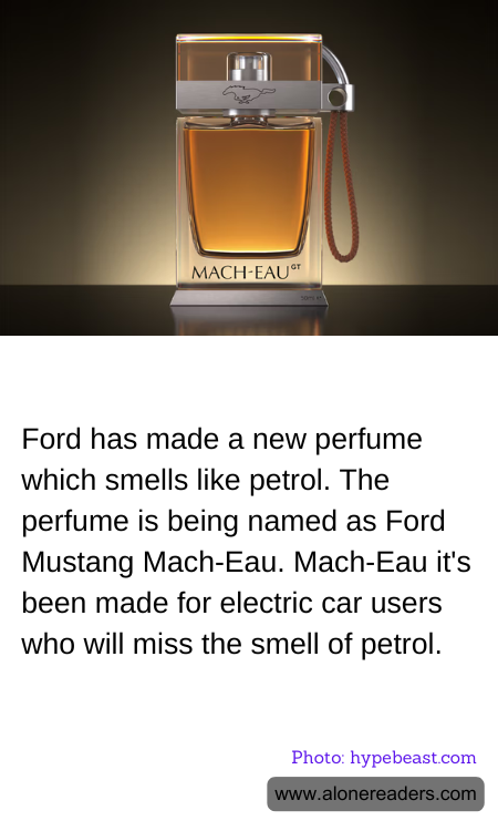 General Knowledge Learning Cards