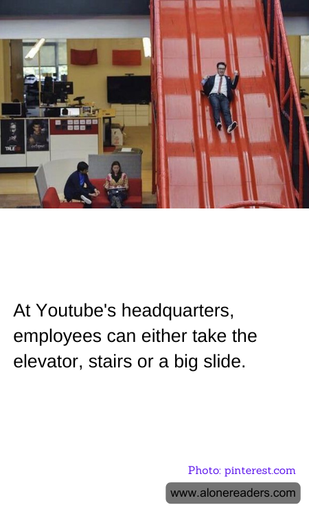 General Knowledge Learning Cards