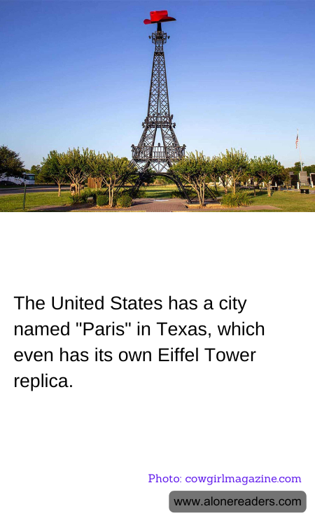 General Knowledge Learning Cards