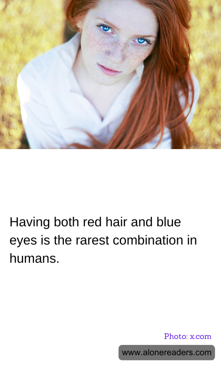 General Knowledge Learning Cards