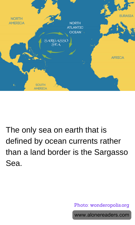 The only sea on earth that is defined by ocean currents rather than a land border is the Sargasso Sea.