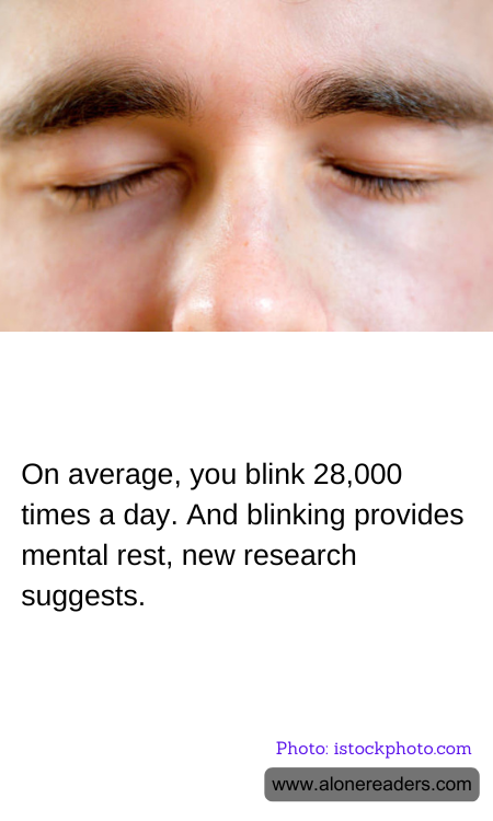 General Knowledge Learning Cards