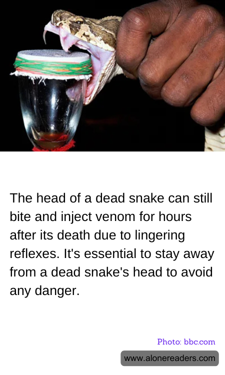 General Knowledge Learning Cards