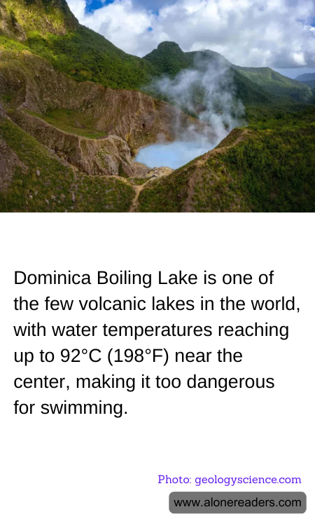 General Knowledge Learning Cards