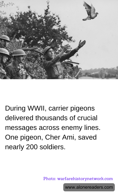 During WWII, carrier pigeons delivered thousands of crucial messages across enemy lines. One pigeon, Cher Ami, saved nearly 200 soldiers.