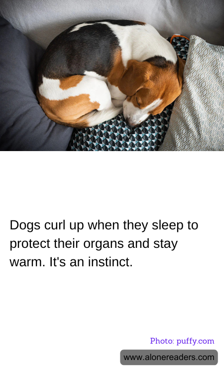 General Knowledge Learning Cards