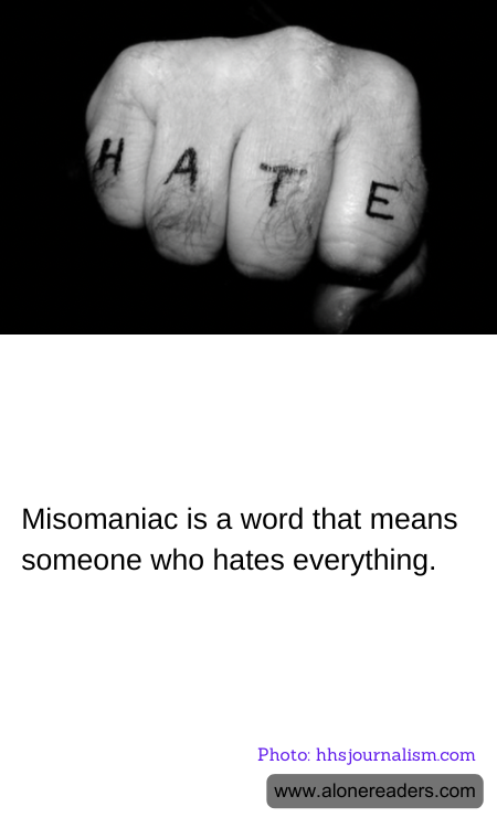 General Knowledge Learning Cards