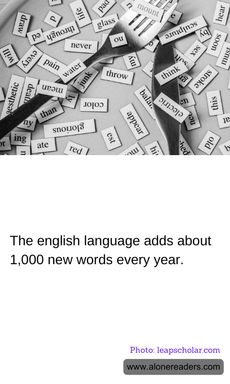 General Knowledge Learning Cards