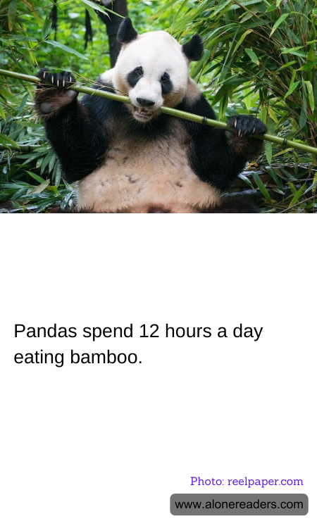 General Knowledge Learning Cards