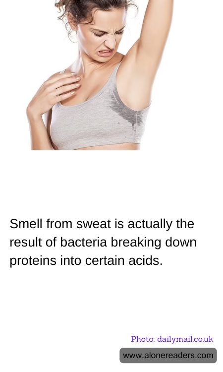 General Knowledge Learning Cards