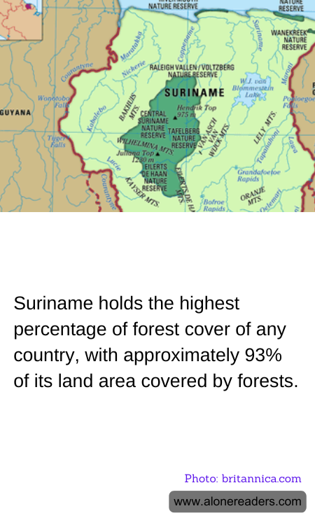 General Knowledge Learning Cards