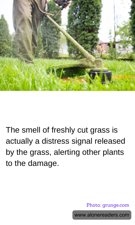 General Knowledge Learning Cards