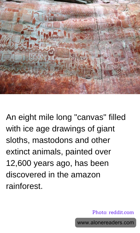 General Knowledge Learning Cards