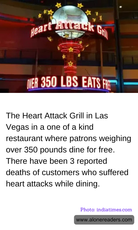 General Knowledge Learning Cards