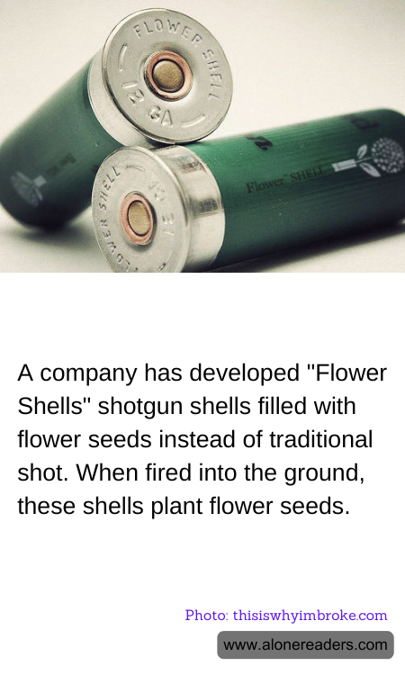 General Knowledge Learning Cards