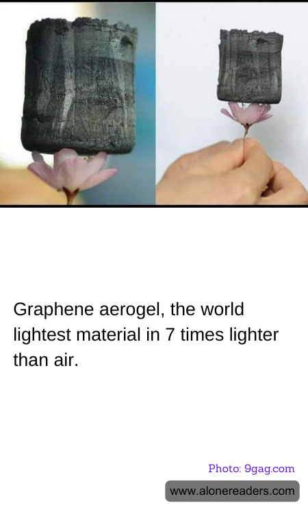 General Knowledge Learning Cards