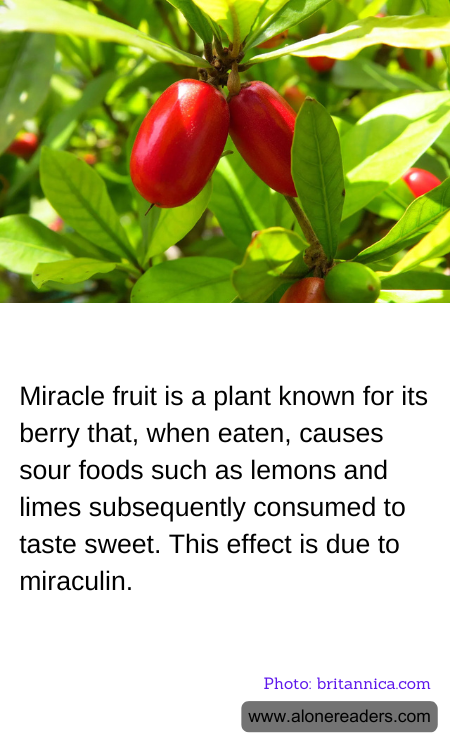 General Knowledge Learning Cards