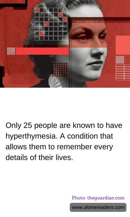 General Knowledge Learning Cards