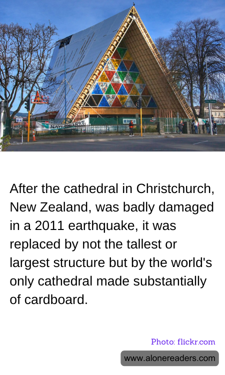 General Knowledge Learning Cards