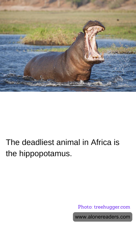 General Knowledge Learning Cards