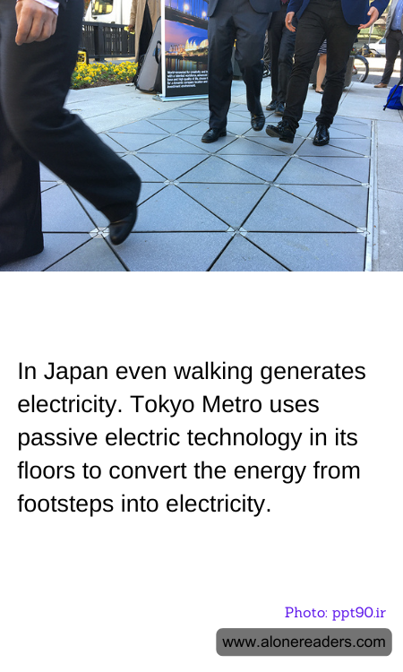 General Knowledge Learning Cards