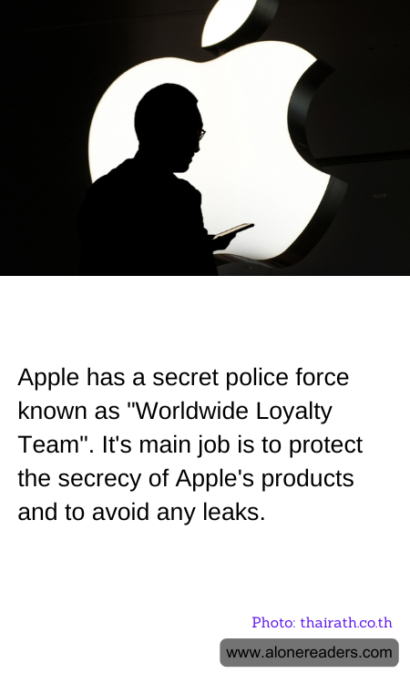 General Knowledge Learning Cards