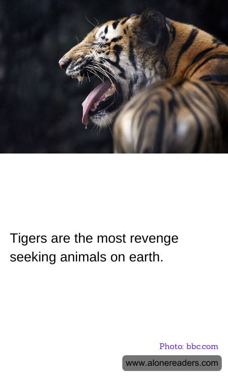 General Knowledge Learning Cards