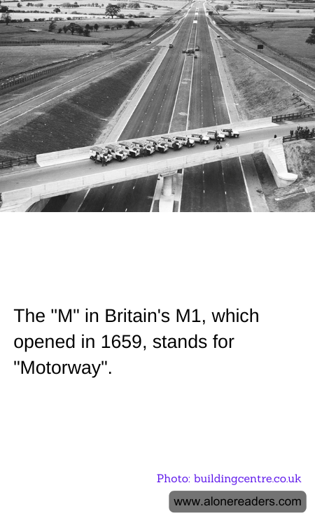 General Knowledge Learning Cards