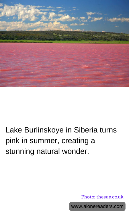 General Knowledge Learning Cards