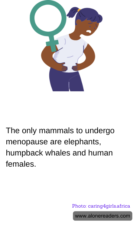 General Knowledge Learning Cards