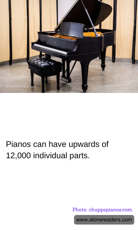 General Knowledge Learning Cards