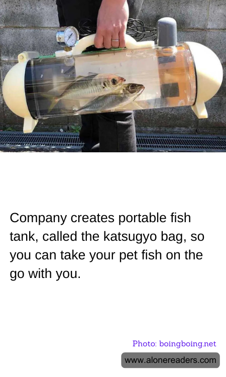 Company creates portable fish tank, called the katsugyo bag, so you can take your pet fish on the go with you.