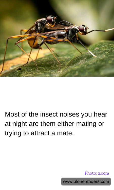 Most of the insect noises you hear at night are them either mating or trying to attract a mate.