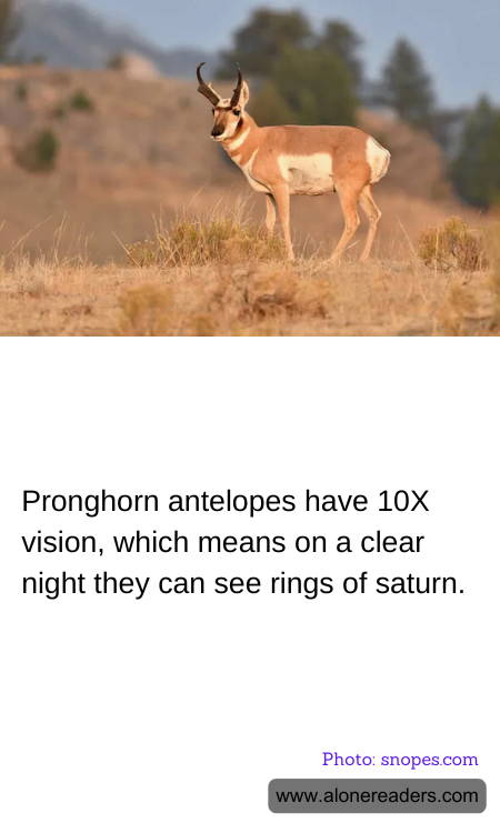 General Knowledge Learning Cards