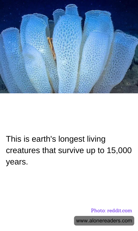 General Knowledge Learning Cards